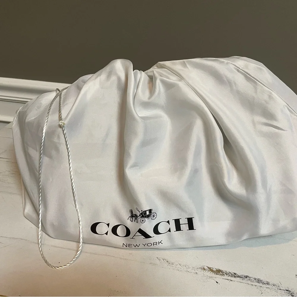 Coach Dreamer 36 Metallic Colorblock Shoulder Bag - Picture 8 of 8